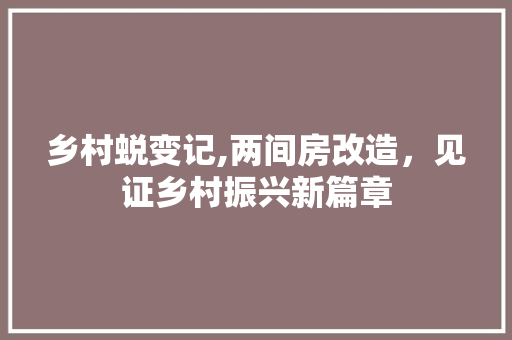 乡村蜕变记,两间房改造，见证乡村振兴新篇章
