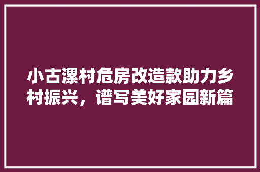 小古漯村危房改造款助力乡村振兴，谱写美好家园新篇章 建筑设计