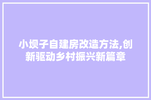 小坝子自建房改造方法,创新驱动乡村振兴新篇章
