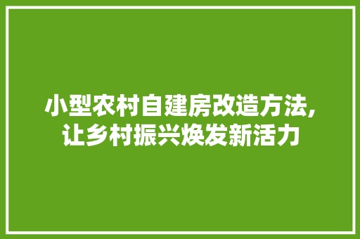 小型农村自建房改造方法,让乡村振兴焕发新活力
