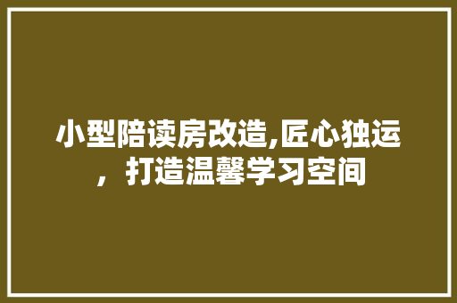 小型陪读房改造,匠心独运，打造温馨学习空间