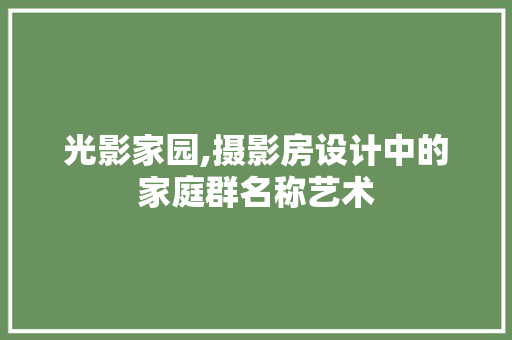 光影家园,摄影房设计中的家庭群名称艺术