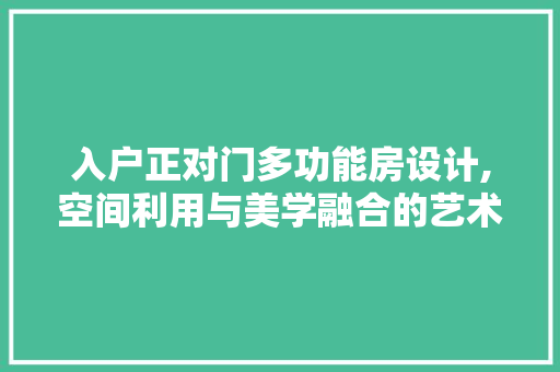 入户正对门多功能房设计,空间利用与美学融合的艺术探索 墙面装饰