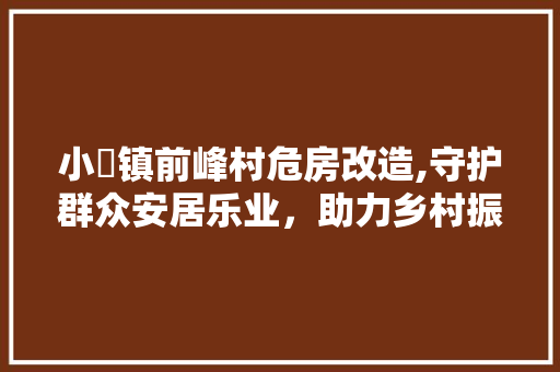 小岞镇前峰村危房改造,守护群众安居乐业，助力乡村振兴
