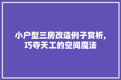 小户型三房改造例子赏析,巧夺天工的空间魔法