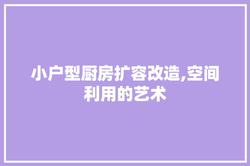 小户型厨房扩容改造,空间利用的艺术