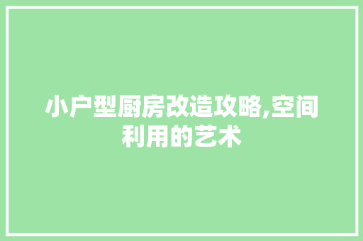 小户型厨房改造攻略,空间利用的艺术