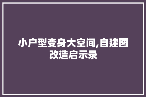 小户型变身大空间,自建图改造启示录