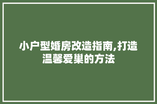 小户型婚房改造指南,打造温馨爱巢的方法