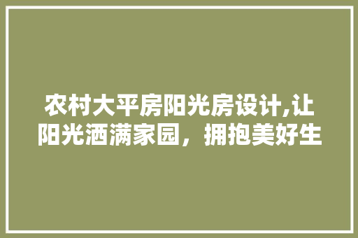 农村大平房阳光房设计,让阳光洒满家园，拥抱美好生活 地面装修