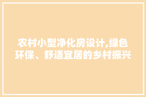 农村小型净化房设计,绿色环保、舒适宜居的乡村振兴新典范 地面装修