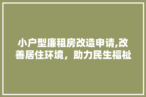小户型廉租房改造申请,改善居住环境，助力民生福祉