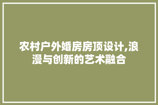 农村户外婚房房顶设计,浪漫与创新的艺术融合