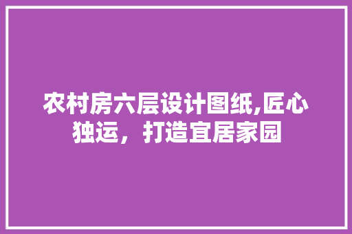 农村房六层设计图纸,匠心独运，打造宜居家园 建筑设计