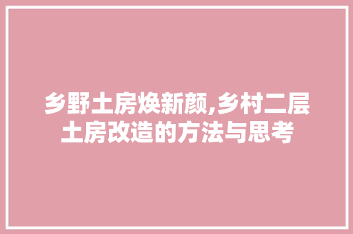 乡野土房焕新颜,乡村二层土房改造的方法与思考