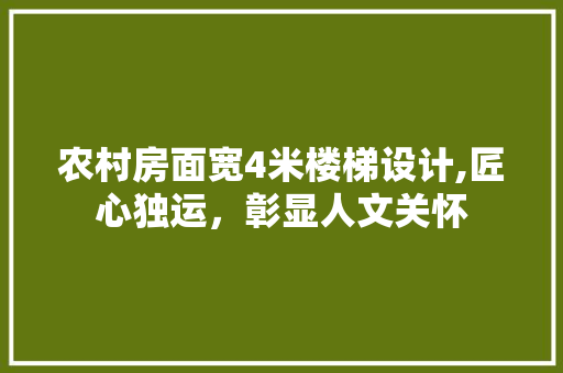 农村房面宽4米楼梯设计,匠心独运，彰显人文关怀