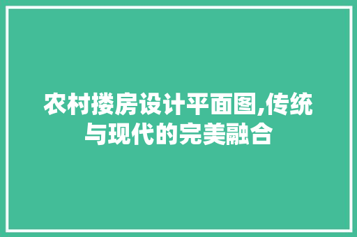 农村搂房设计平面图,传统与现代的完美融合 地面装修