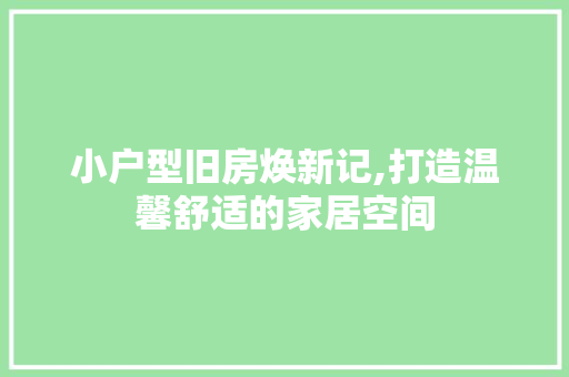 小户型旧房焕新记,打造温馨舒适的家居空间