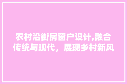 农村沿街房窗户设计,融合传统与现代，展现乡村新风貌 建筑设计