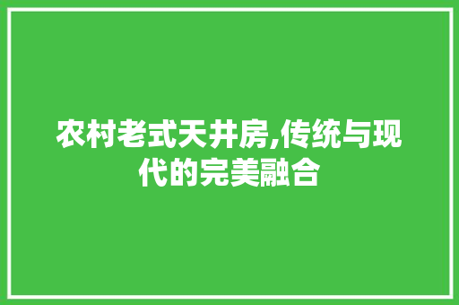 农村老式天井房,传统与现代的完美融合 隔断设计