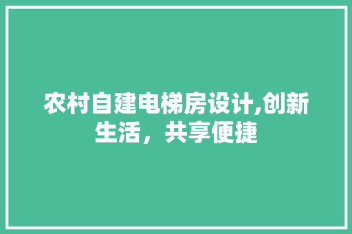 农村自建电梯房设计,创新生活，共享便捷
