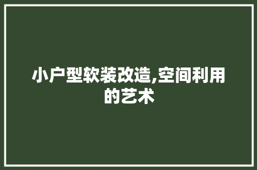小户型软装改造,空间利用的艺术