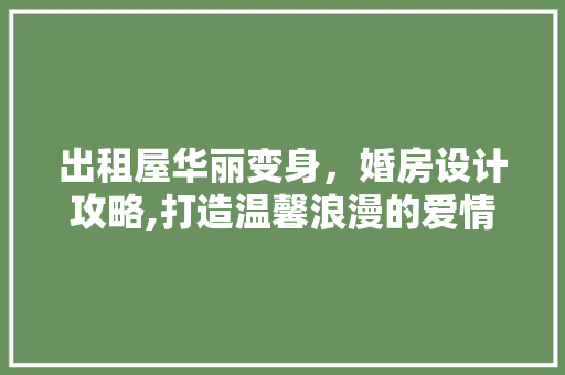 出租屋华丽变身，婚房设计攻略,打造温馨浪漫的爱情港湾