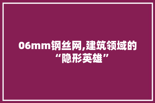 06mm钢丝网,建筑领域的“隐形英雄”
