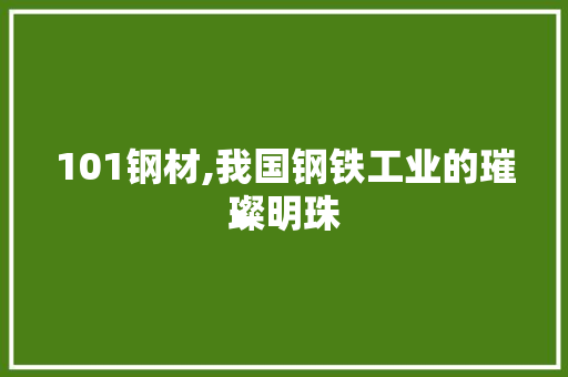 101钢材,我国钢铁工业的璀璨明珠
