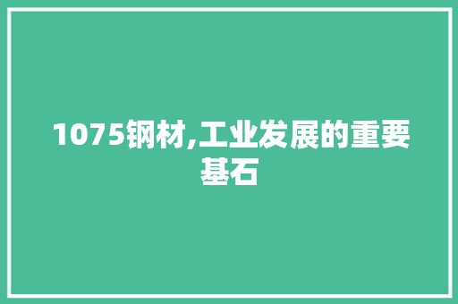 1075钢材,工业发展的重要基石