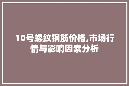 10号螺纹钢筋价格,市场行情与影响因素分析
