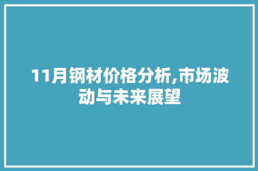 11月钢材价格分析,市场波动与未来展望