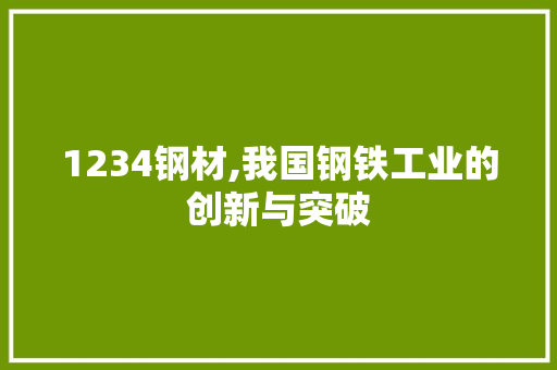 1234钢材,我国钢铁工业的创新与突破