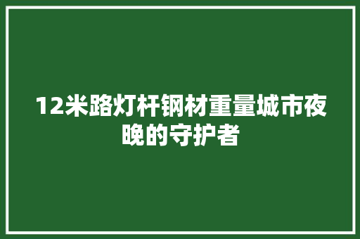 12米路灯杆钢材重量城市夜晚的守护者