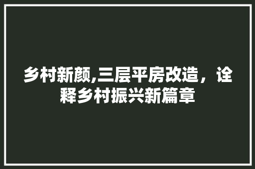 乡村新颜,三层平房改造，诠释乡村振兴新篇章