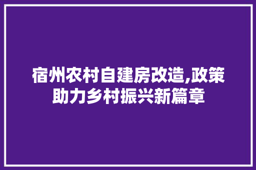 宿州农村自建房改造,政策助力乡村振兴新篇章