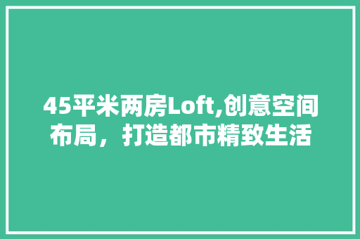 45平米两房Loft,创意空间布局，打造都市精致生活