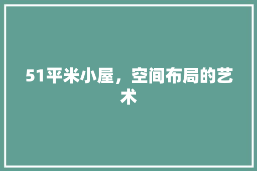 51平米小屋，空间布局的艺术 装修攻略