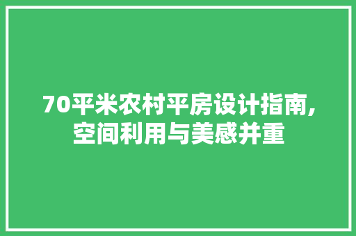 70平米农村平房设计指南,空间利用与美感并重 门窗装修