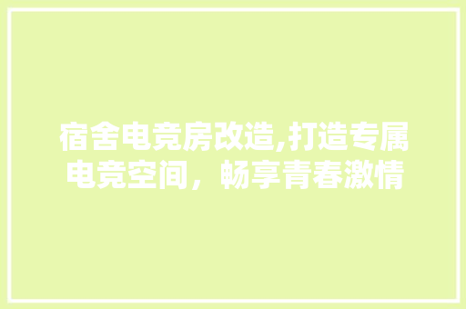 宿舍电竞房改造,打造专属电竞空间，畅享青春激情