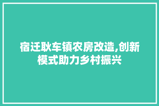 宿迁耿车镇农房改造,创新模式助力乡村振兴