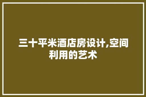 三十平米酒店房设计,空间利用的艺术
