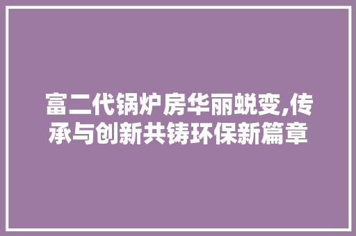 富二代锅炉房华丽蜕变,传承与创新共铸环保新篇章