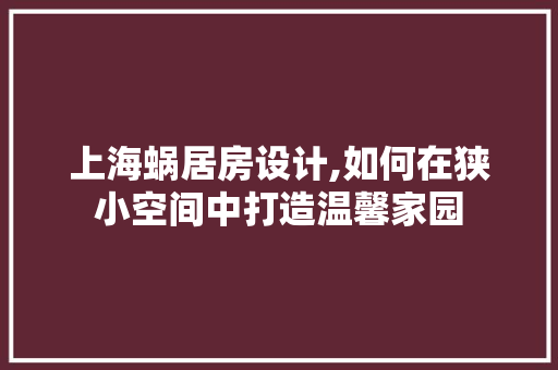 上海蜗居房设计,如何在狭小空间中打造温馨家园
