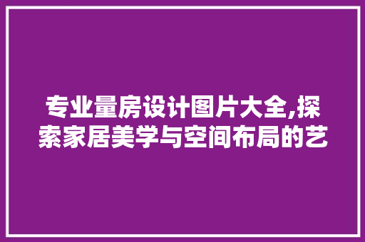 专业量房设计图片大全,探索家居美学与空间布局的艺术 庭院装修