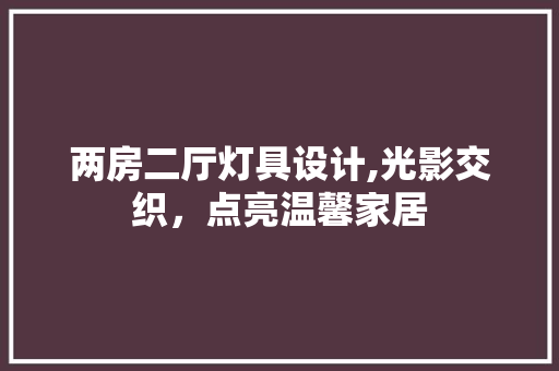 两房二厅灯具设计,光影交织，点亮温馨家居