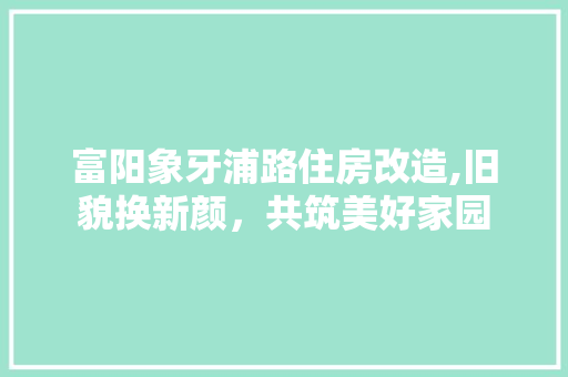 富阳象牙浦路住房改造,旧貌换新颜，共筑美好家园
