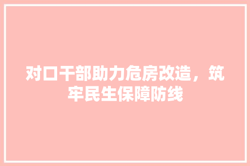 对口干部助力危房改造，筑牢民生保障防线