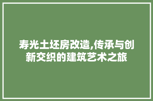寿光土坯房改造,传承与创新交织的建筑艺术之旅