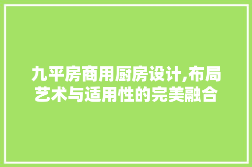 九平房商用厨房设计,布局艺术与适用性的完美融合